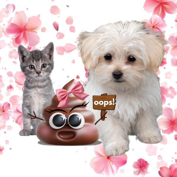 Poppy Poo holding ‘Oops’ sign with a kitten and puppy, cherry blossoms floating in transparent background